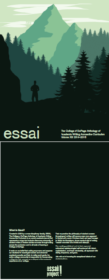 ESSAI volume 13 cover